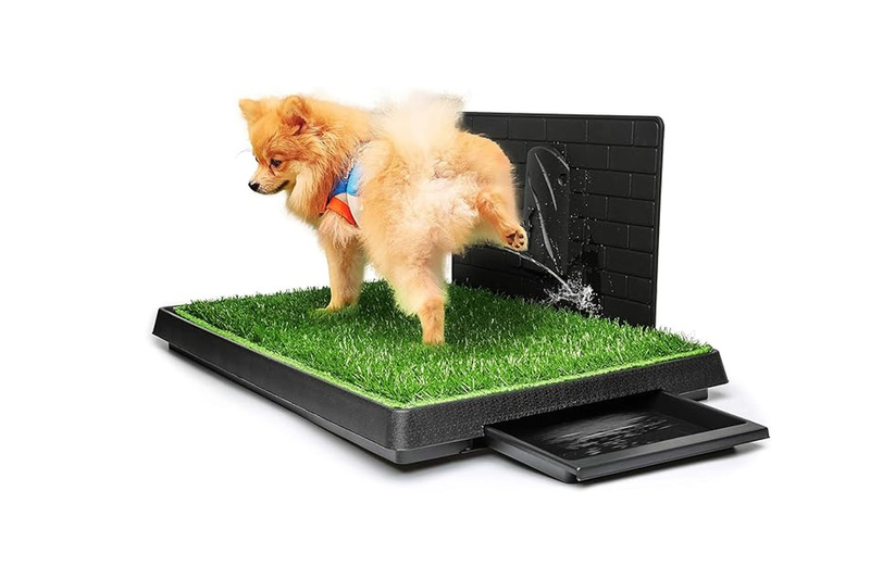 Anyson Stars 5 Lila Standstaubsauger 550W 65 min HEPA OLED