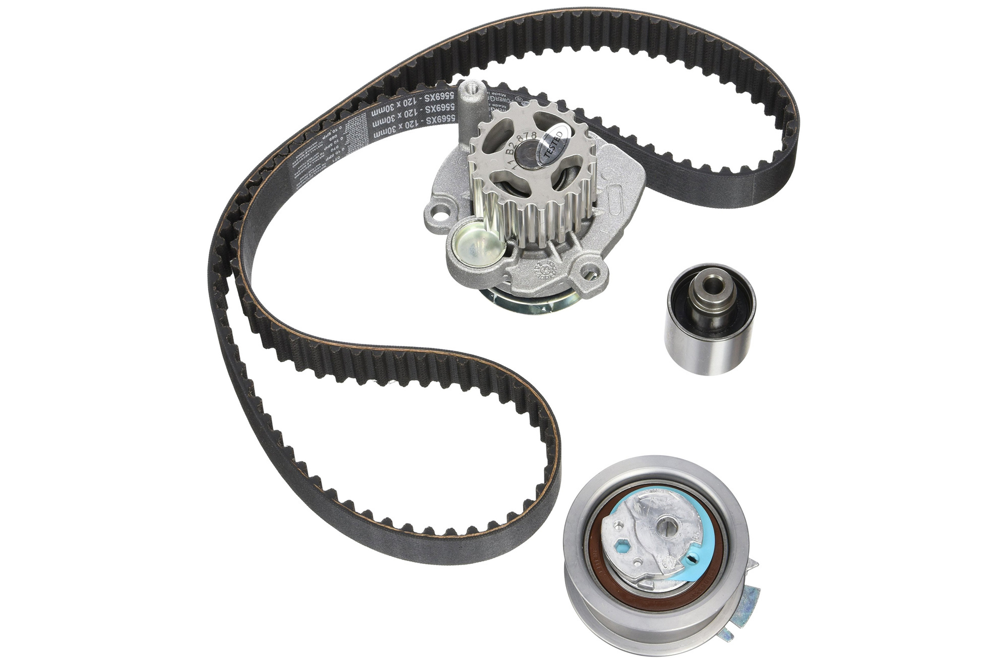 Timing kit + water pump 1.9 TDI KP55569XS-2