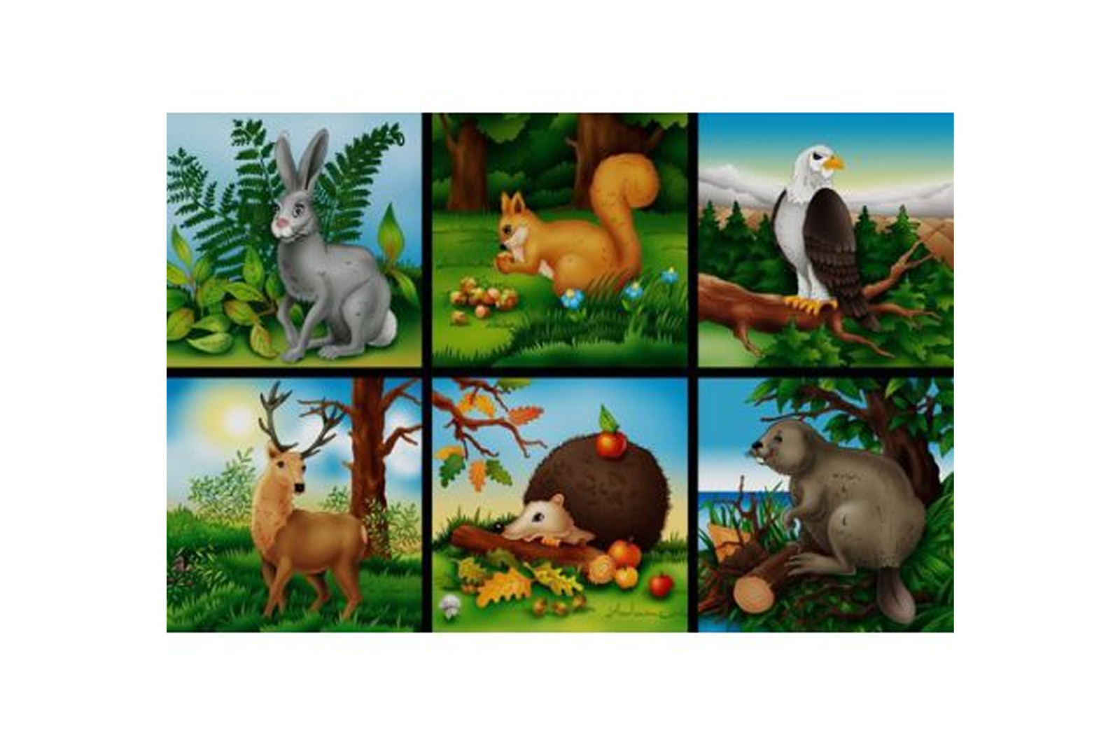 Adamigo 16-piece blocks Hare