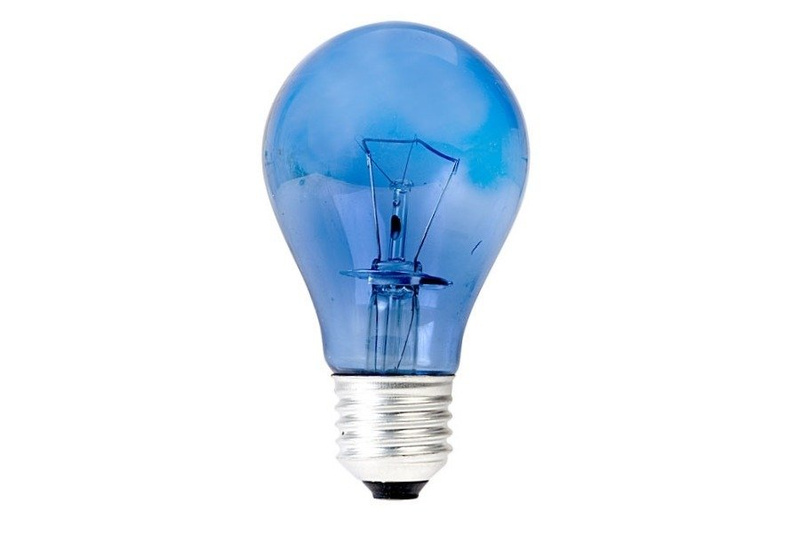 Żarówka Zoo-Med Daylight 100W 120V DB-100